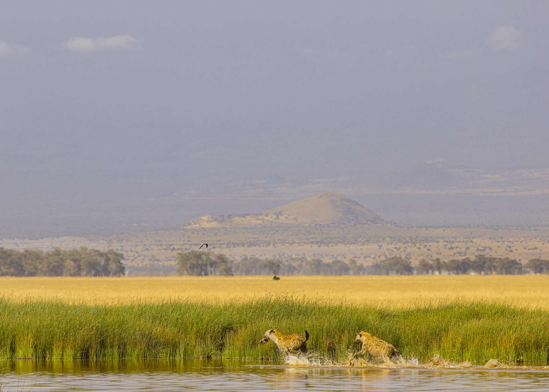 F6.3, 1/1000, ISO200 | Arnold Omondi 