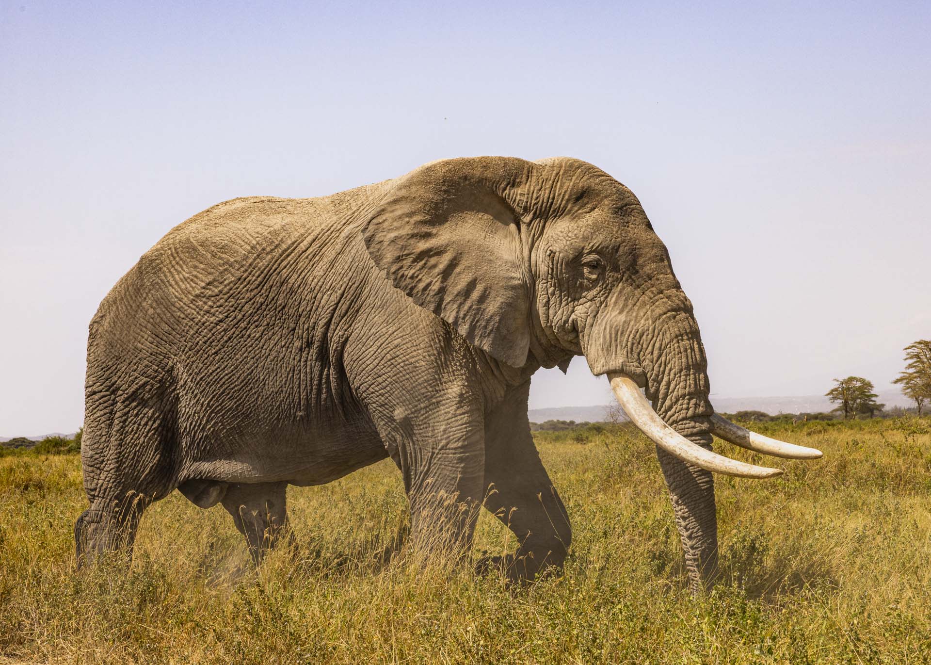 F14, 1/500, ISO250 | Arnold Omondi 