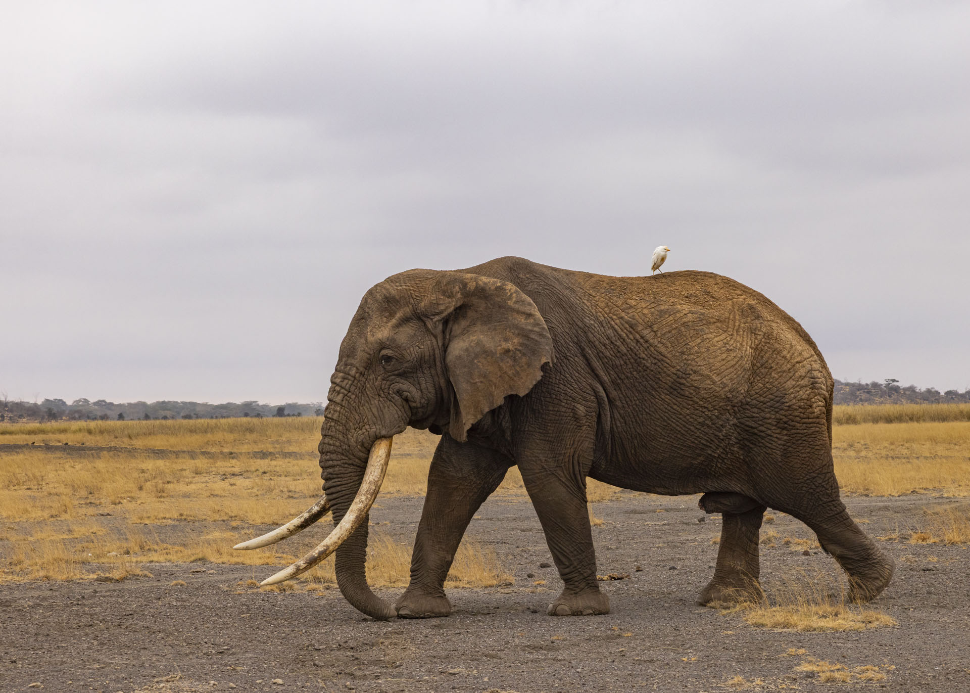 F10, 1/320, ISO800 | Arnold Omondi