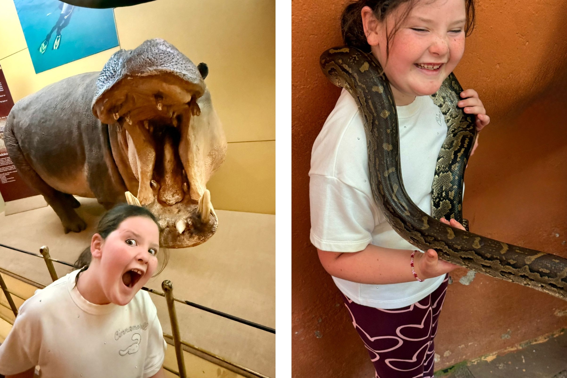 Most children meet their first wild animals here. Anna has been introduced when she was a back house baby