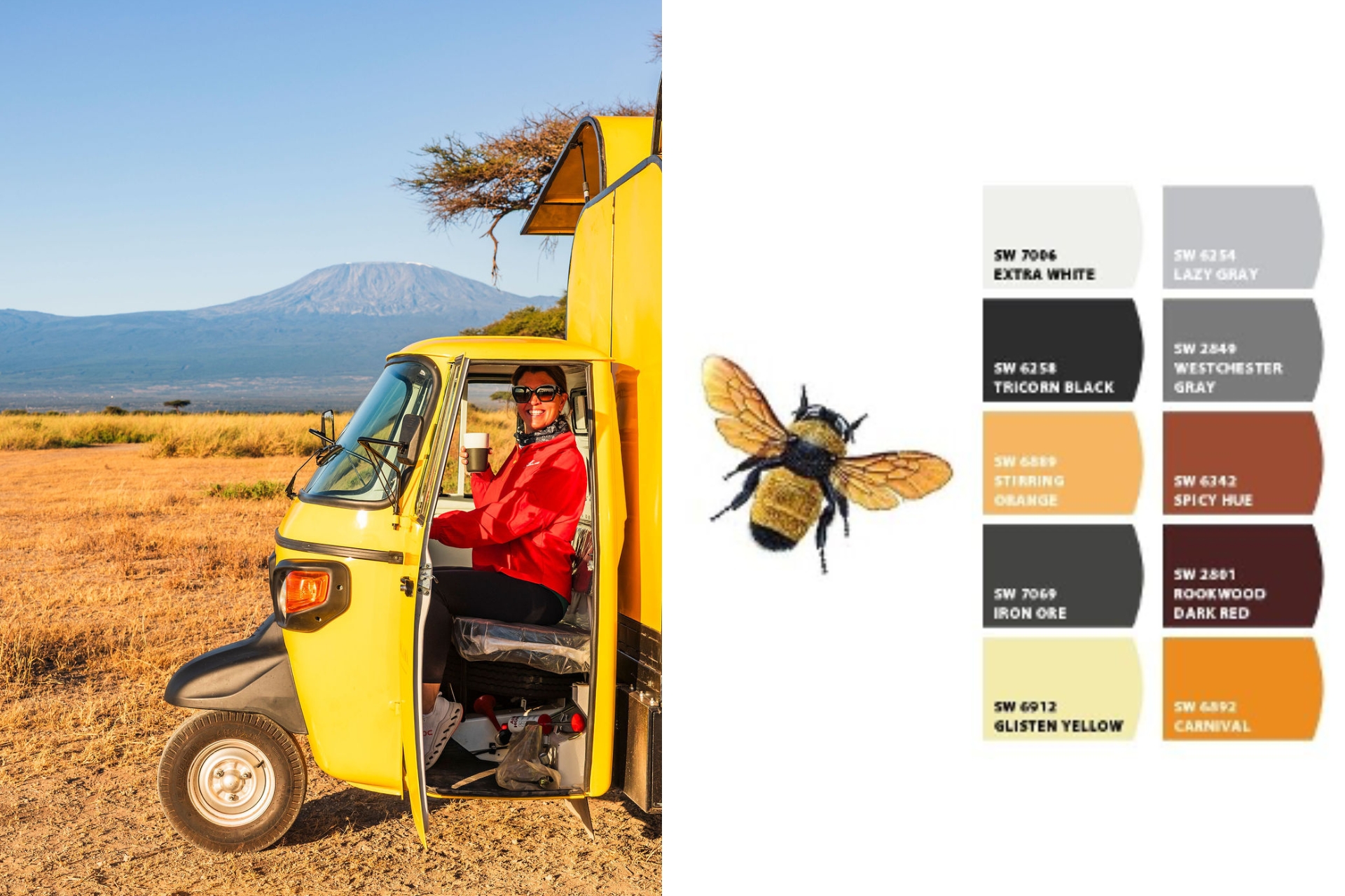 Part African bee, part Amboseli — the colour palette was waiting for him all along