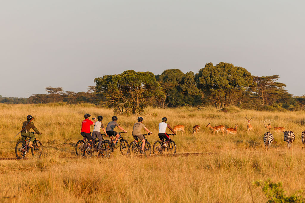 Above: Spinning a new tale in the Mara — Angama's Guest Cycle Experience