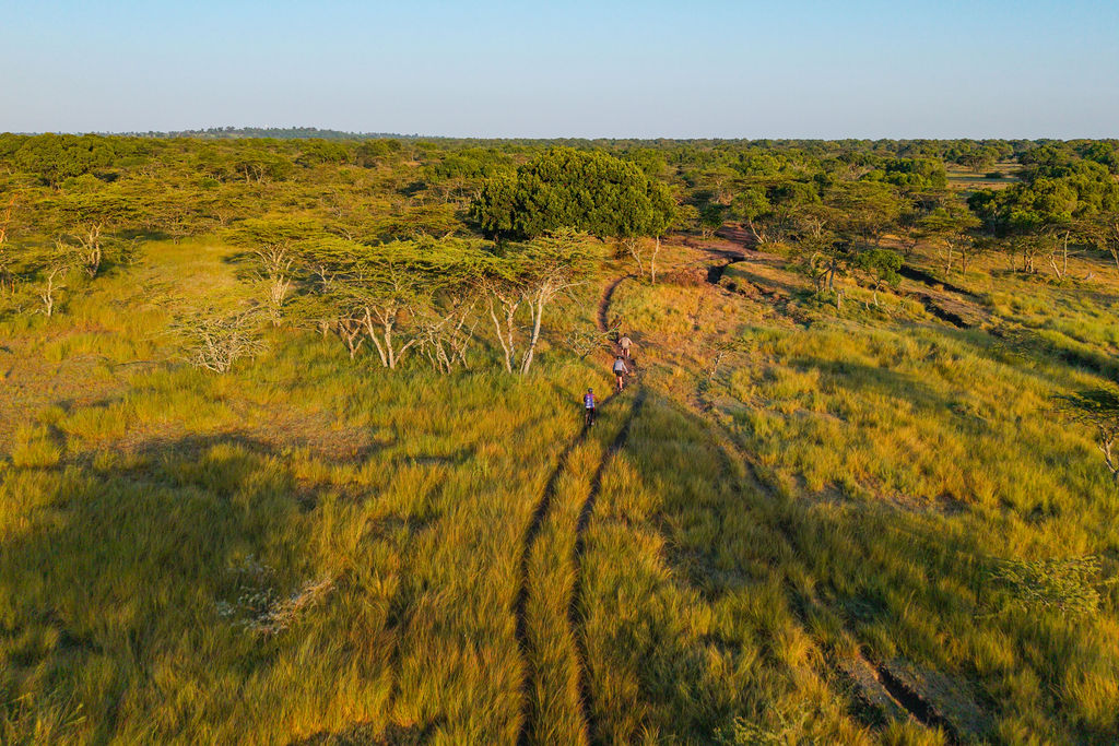 A great way to see the Oloololo Escarpment in the Maasai Mara