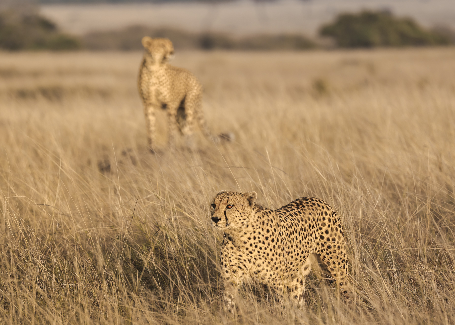 F 8, 1/400, IS0 400 | Victor Mumo
