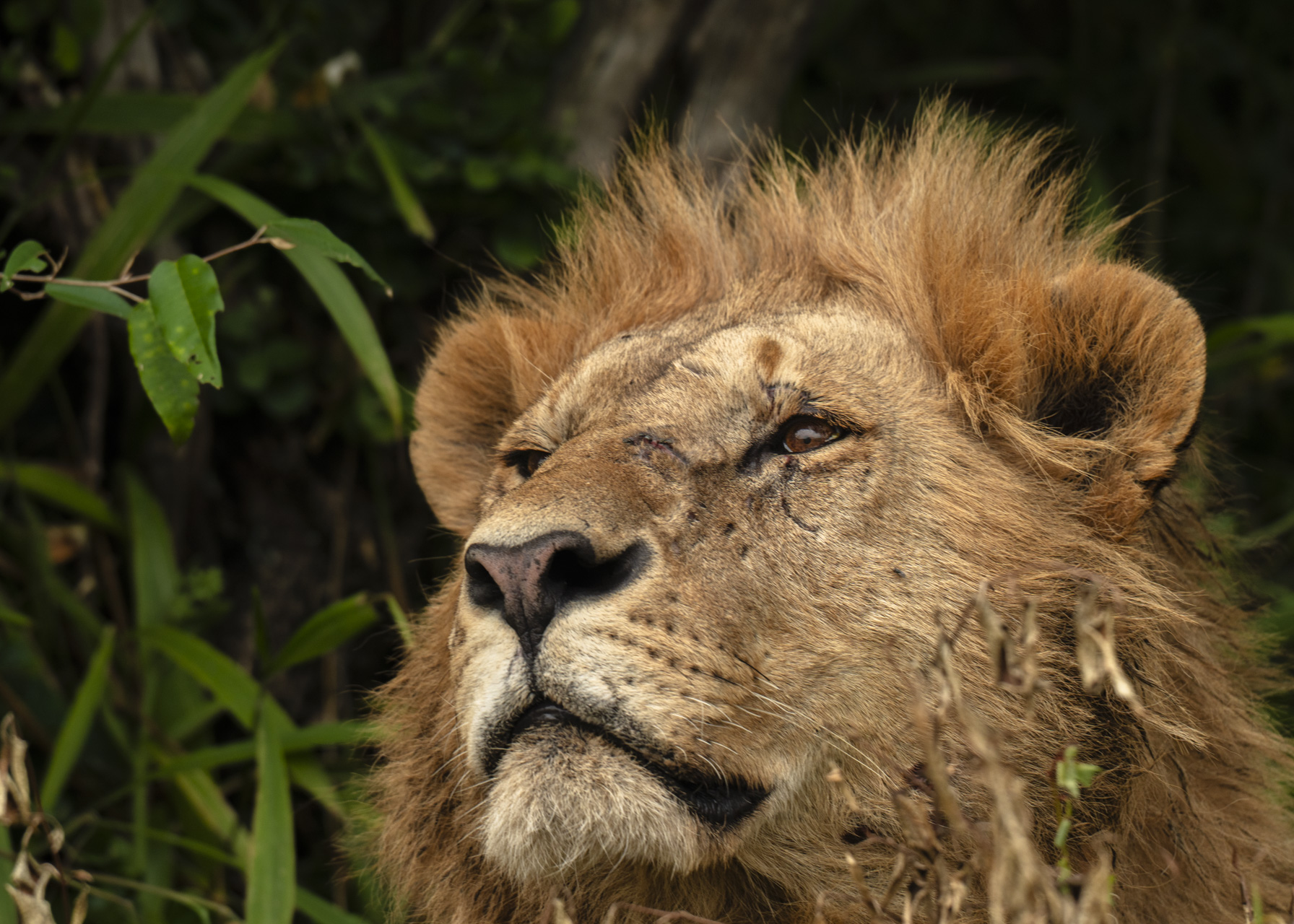 F 7.1, 1/400, IS0 320 | Victor Mumo