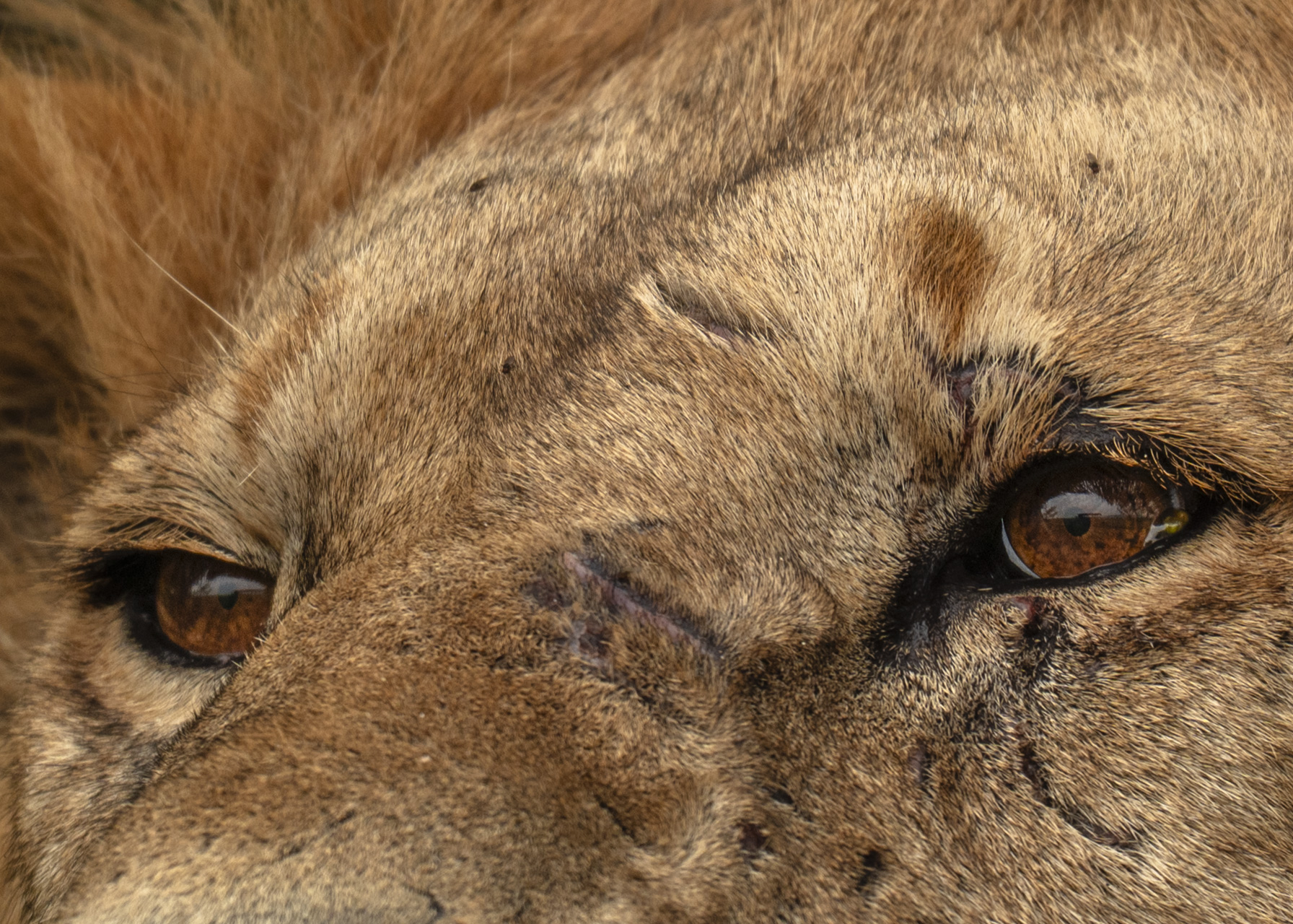 F 7.1, 1/400, IS0 320 | Victor Mumo