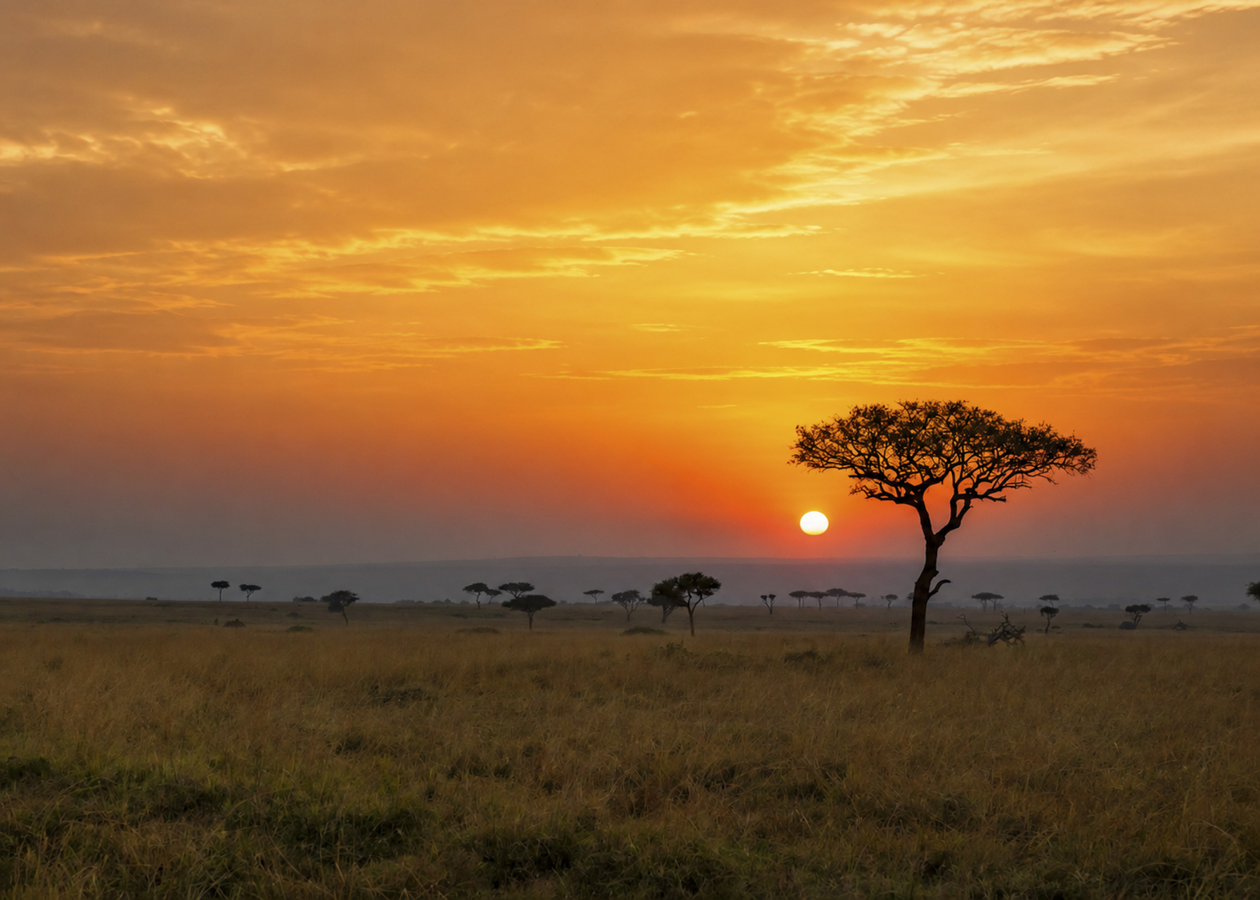 F 7.1, 1/1250, IS0 500 | Victor Mumo
